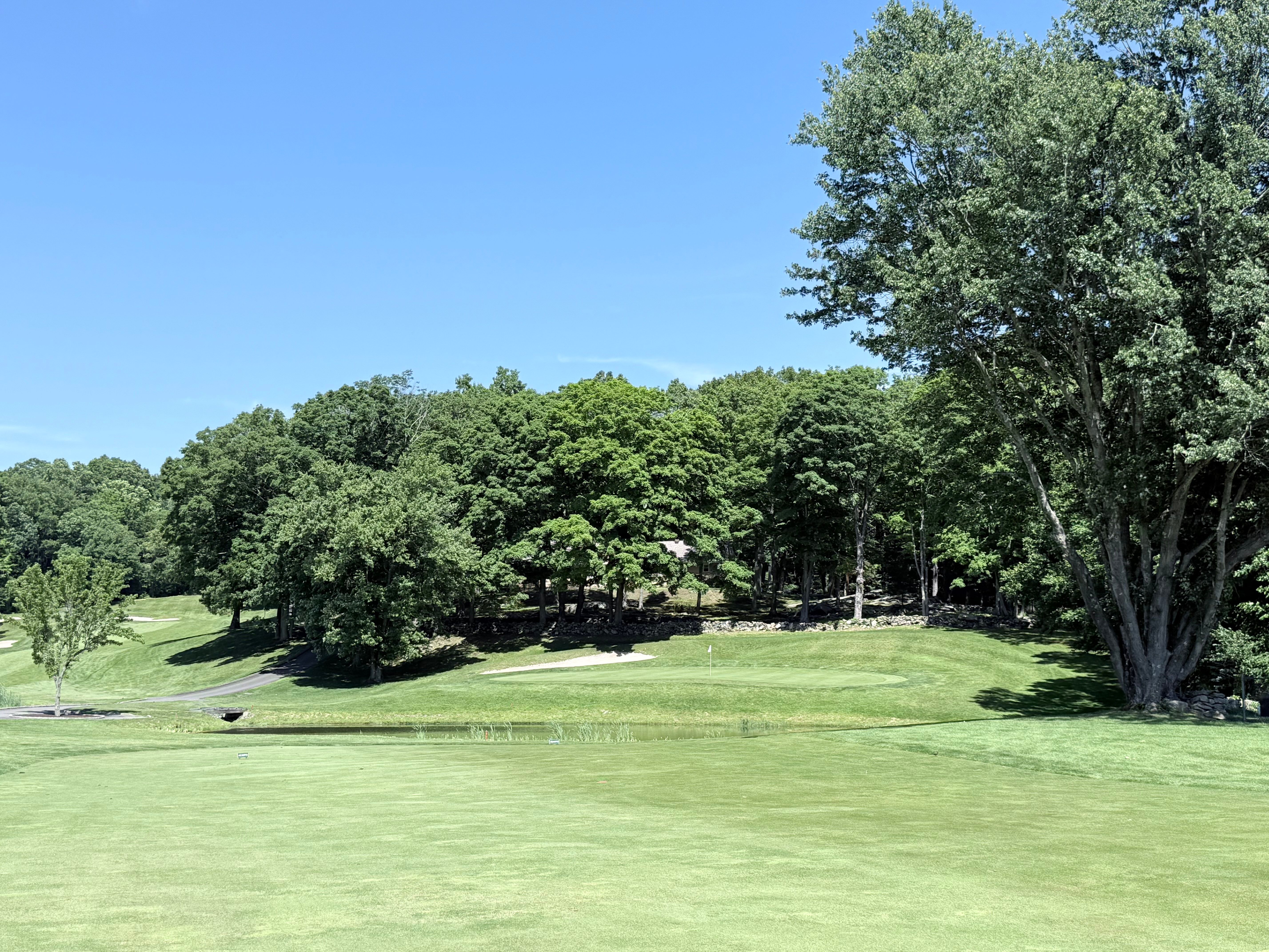 Championship Golf