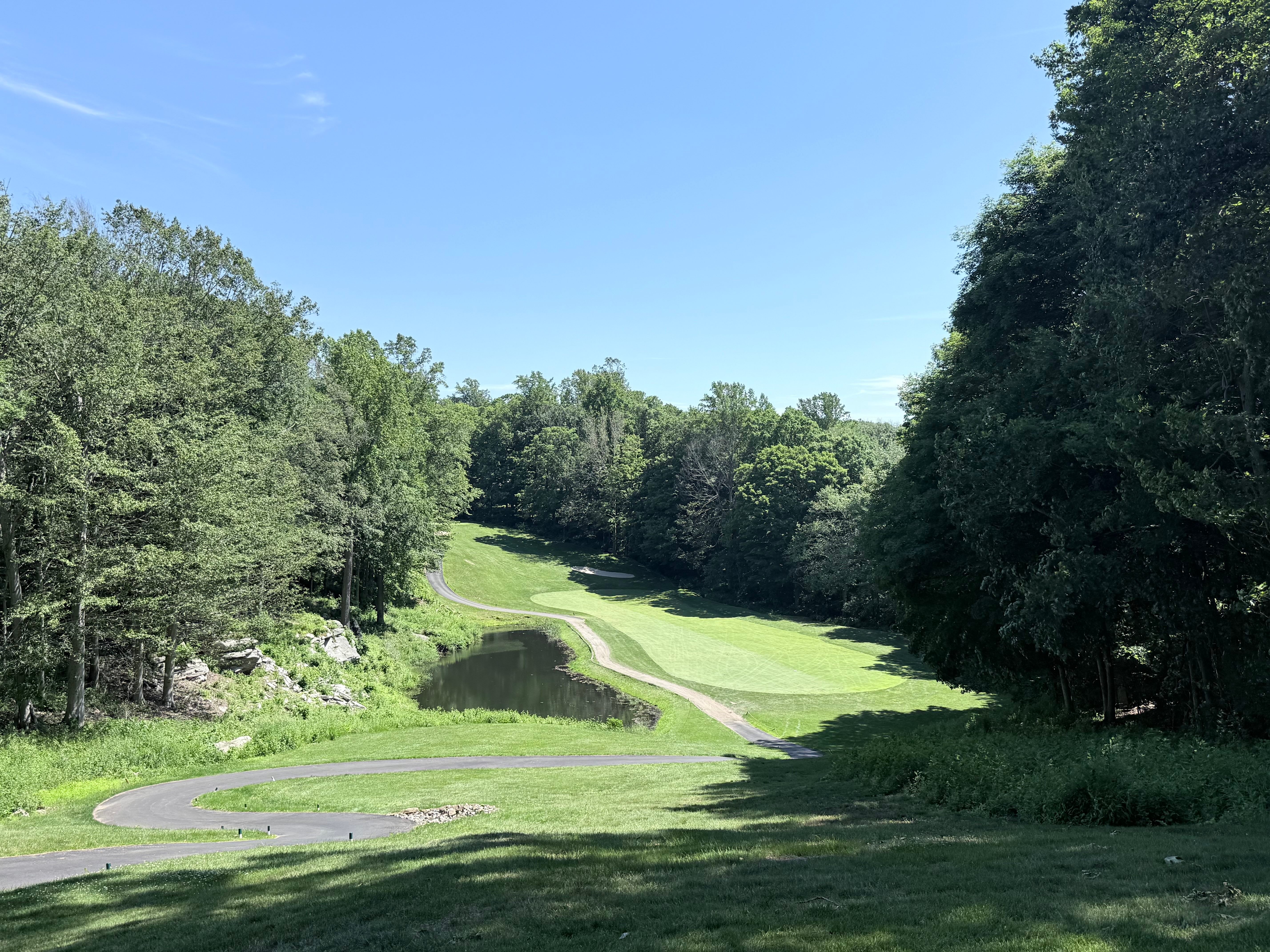 Elevated view of a Brownson Country Club golf hole with a downhill fairway, pond, and wooded surroundings